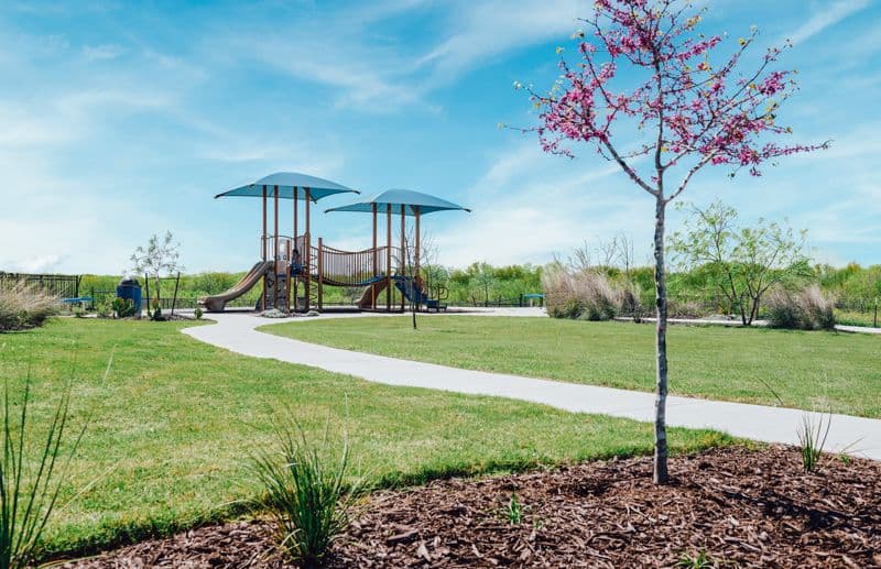 A park at Mission del Lago with a playground and a tree.
